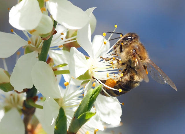Klima-/ Umweltschutz